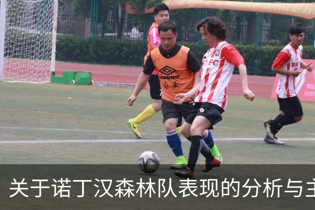 关于诺丁汉森林队表现的分析与主帅的应对策略
