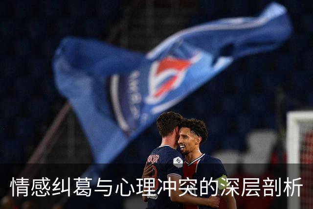 情感纠葛与心理冲突的深层剖析