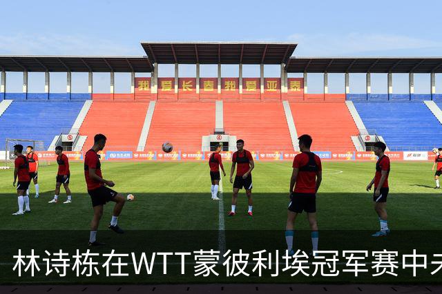 林诗栋在WTT蒙彼利埃冠军赛中未能晋级四强的技术分析